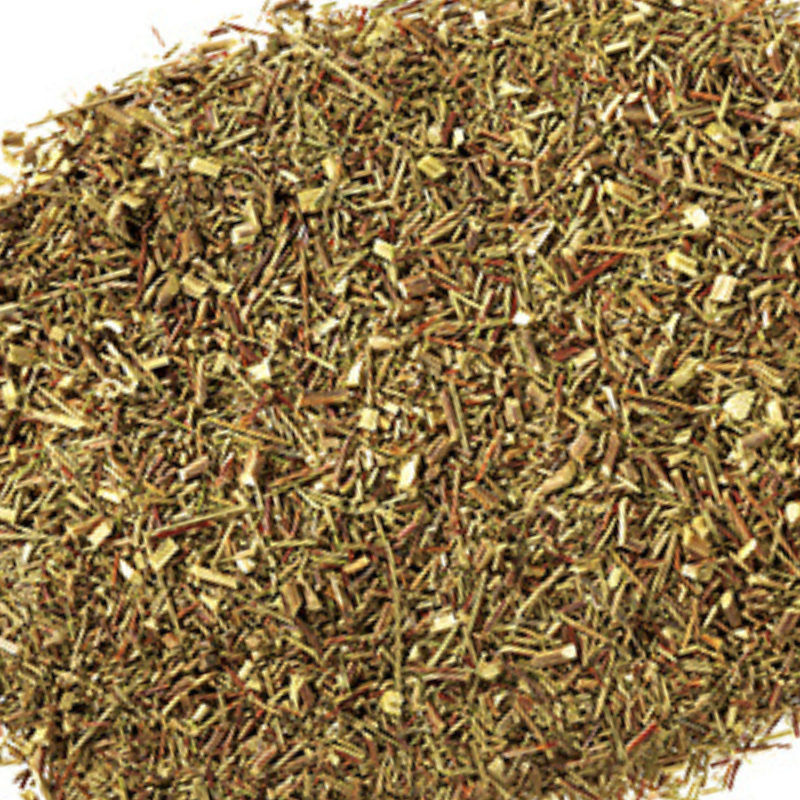Grüner Rotbusch Natur
